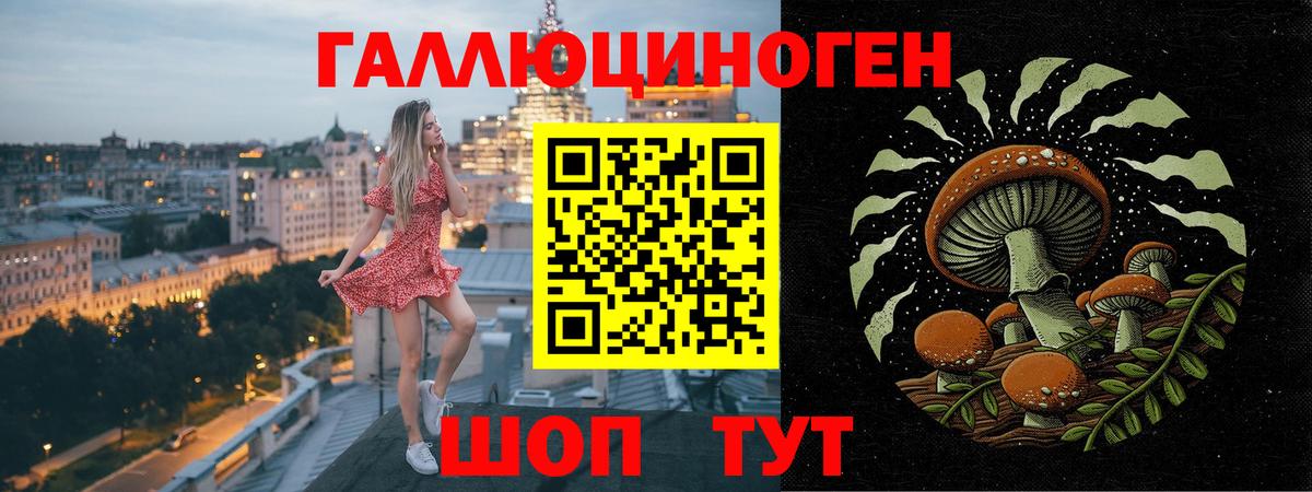 Галлюциногенные грибы Psilocybe  Вход с VPN  где купить наркоту  Иваново 